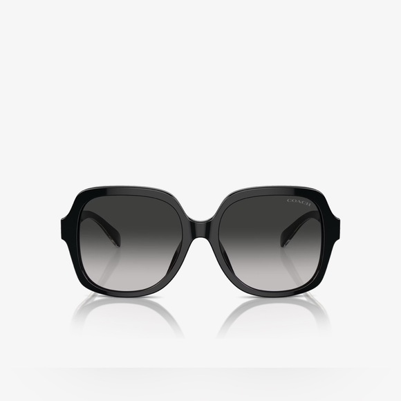 Coach Black Sunglasses for Women NWT full inclusion - Picture 2 of 5